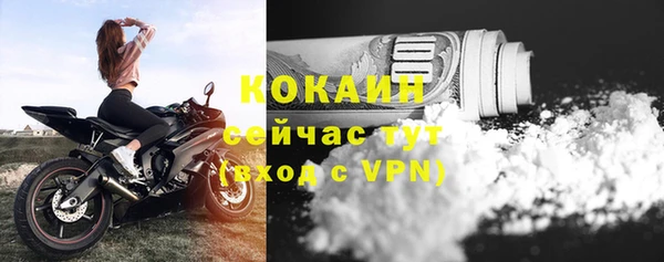 шишки Остров