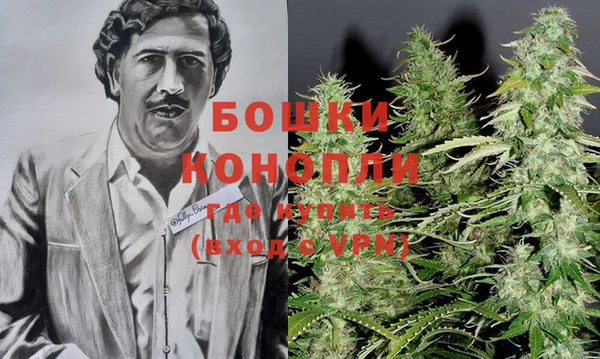 дмт Осташков