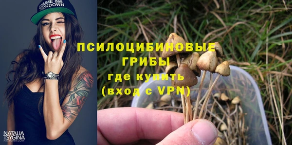 шишки Остров