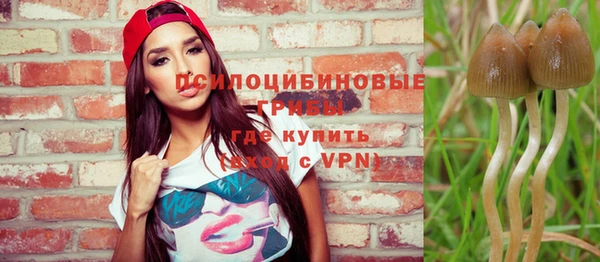 apvp Нязепетровск
