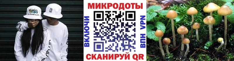 Купить где  Катав-Ивановск  Галлюциногенные грибы Psilocybine cubensis 