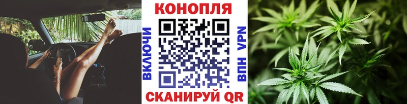 МАРИХУАНА план  Купить где  Катав-Ивановск 